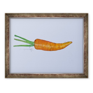 Tablou inramat - Sarah Thompson-Engels - Carrot 2005, 70 x 90 cm
