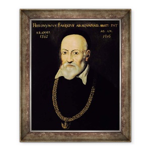 Tablou inramat - Scoala Italiana - Portretul lui Hieronymus Fabricius, 70 x 85 cm