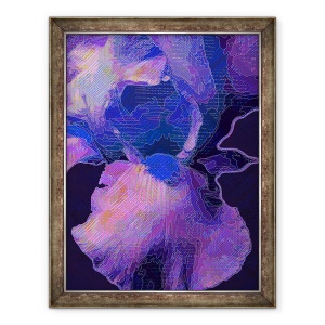 Tablou inramat - Scott J. Davis - Albastru Iris, 70 x 90 cm