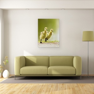Tablou canvas - 1, 2, 3, Start, Canada, Gasca, Ratuste, Gaste, 60 x 80 cm - Img 2