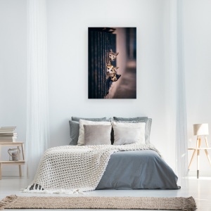 Tablou canvas - A Zis Cineva Miau?, Pisica, Strada, Trotuar, Animale, Noapte, 60 x 90 cm - Img 3