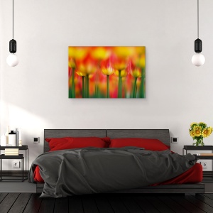 Tablou canvas - Alaturi, Lalele, Vara, Floare, 80 x 120 cm - Img 3