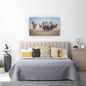Tablou canvas - Amintind De Titani, Elefanti, Elefant, Familie, Turma, Pasari, 50 x 80 cm - Img 3