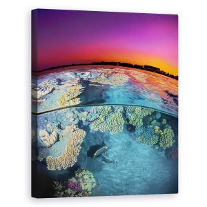 Tablou canvas - Amurg La Reciful De La Marea Rosie, Sub Apa, Colorat, 60 x 75 cm