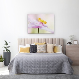 Tablou canvas - Anemona Japoneza, Roz, Floare, 50 x 70 cm - Img 3