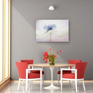 Tablou decorativ canvas cu anemone mov 60x90 cm