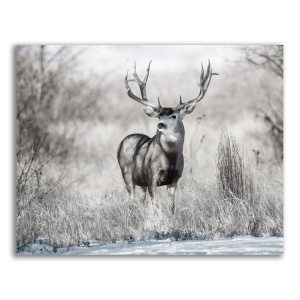 Tablou Canvas - Animal, Cerb, Natura, Iarna, 60 x 75 cm