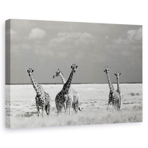 Tablou canvas - Animale Ciudate, Natura, Animal, Salbatic, Girafa, 40 x 60 cm