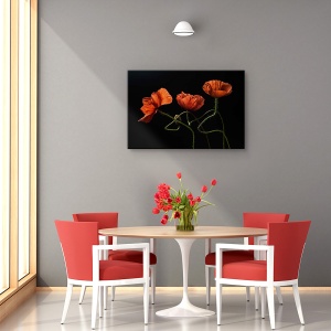 Tablou decorativ canvas maci rosii si natura moarta
