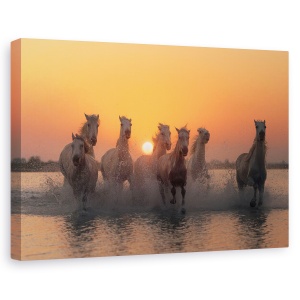 Tablou canvas - Apus De Soare In Camargue, Cai, Fuga, 40 x 60 cm