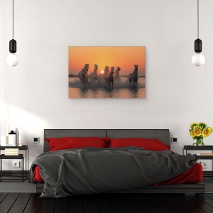 Tablou canvas - Apus De Soare In Camargue, Cai, Fuga, 60 x 90 cm - Img 3