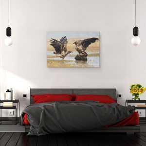 Tablou canvas - Aripi Deschise, Natura, Pasare, Vultur, Salbatic, Salbatic, 60 x 90 cm - Img 3