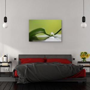 Tablou canvas - Armonie verde, Natura moarta, Frunza, Verde, Reflectie, 60 x 90 cm - Img 3