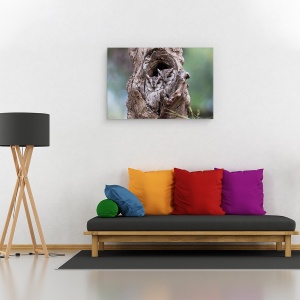 Tablou canvas - Ascuns, Bufnita, Pasare, Copac, 40 x 60 cm - Img 2