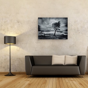 Tablou canvas - Astazi Nimeni, Vant, Alb-Negru, Suflare, 50 x 70 cm - Img 2