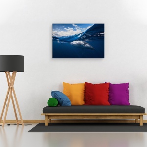 Tablou canvas - Balena Cu Cocoasa Si Cerul, Sub Apa, Cetace, 40 x 60 cm - Img 2