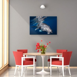 Tablou canvas - Balena Cu Cocoasa, Sub Apa, Scufundare, 40 x 60 cm - Img 4