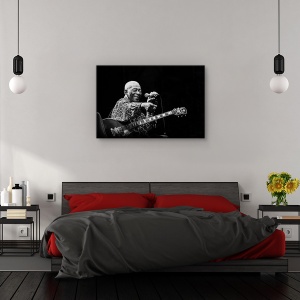 Tablou canvas - BB King, Personalitati, Performanta, Chitara, Instrument, 60 x 90 cm - Img 3