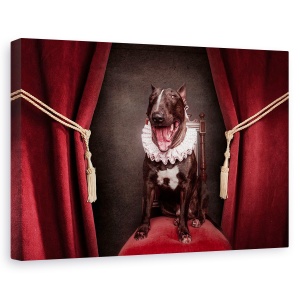 Tablou decorativ canvas cu portret de câini plini de viață