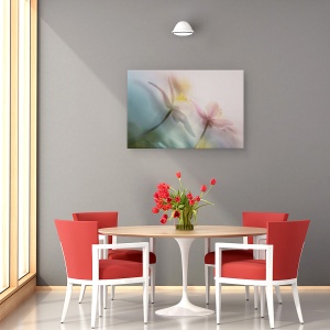 Tablou canvas - Bland, Bosanemoon, Floare, Moale, Anemone, Nemorosa, 40 x 60 cm - Img 4