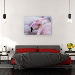 Tablou canvas - Blandetea Unica, Franta, Iaz, Roz, Flamingo, Pont De Gau, 40 x 60 cm - Img 3