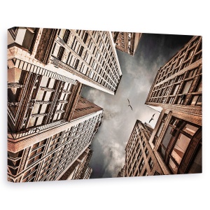 Tablou canvas - Blocat In Civilizatie, Cladiri, Zgarie Nor, Pasari, Perspectiva, Inalt, 40 x 60 cm
