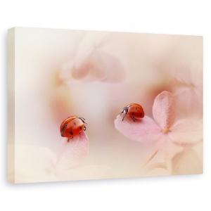 Tablou canvas - Buburuza pe hortensie roz, Flori, Romantic, Cuplu, Rosu, 60 x 90 cm - Img 1