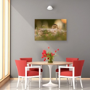 Tablou canvas - Bufnita De Vizuina, Natura, Pasare, Salbatic, Florida, 40 x 60 cm - Img 4