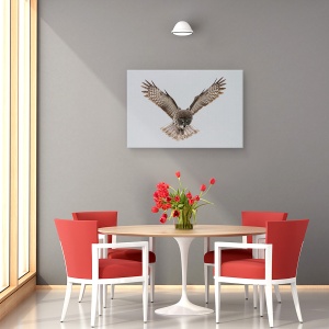 Tablou canvas - Bufnita Gri, Zbor, Aripi, Greva, Hit, 80 x 120 cm - Img 4
