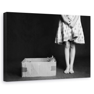 Tablou canvas - Bun Venit, Pisica, Dragut, Pet, Animal, Cutie, 40 x 60 cm