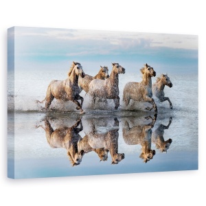 Tablou canvas - Cai si reflectie, Animal, Delta, Reflectie, Miscare, 80 x 120 cm