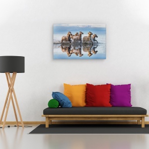 Tablou canvas - Cai si reflectie, Animal, Delta, Reflectie, Miscare, 80 x 120 cm - Img 2