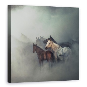 Tablou canvas - Caii Pierduti, Animale, Animal, Praf, 60 x 60 cm