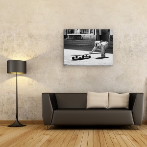 Tablou canvas - Cainii Vor Doar Sa Se Distreze, Animal, Strada, Skateboard, 60 x 80 cm - Img 2