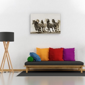 Tablou canvas - Cal, Nature, Galop, Alearga, Tonifiat, 80 x 120 cm - Img 2