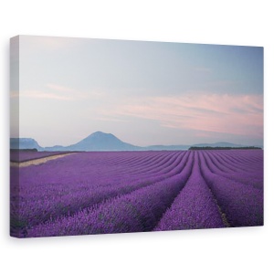Tablou canvas - Camp de lavanda, Peisaj, Camp, Flori, Franta, 60 x 90 cm