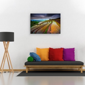 Tablou canvas - Camp de orez, Peisaj, Terasa, Camp, Planta, 80 x 120 cm - Img 2