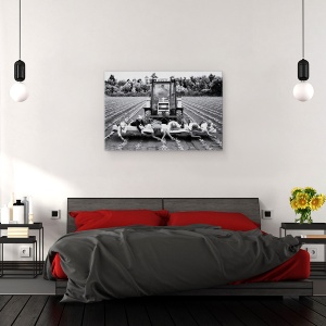 Tablou canvas - Capsuni, Renault, Lucratori, Fermieri, Alb-Negru, 60 x 90 cm - Img 3
