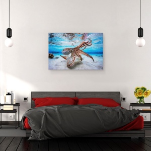 Tablou canvas - Caracatita Dansatoare, Sub Apa, Ochi, Rosu, 80 x 120 cm - Img 3