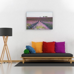 Tablou canvas - Catifea mov/Lavanda catifelata, Peisaj, Flori, Camp, Violet, 60 x 90 cm - Img 2