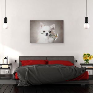 Tablou canvas - Chihuahua Cu Flori, Caine, Cadou, Adorabil, 40 x 60 cm - Img 3