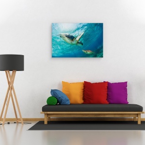 Tablou canvas - Contact, Mare, Philipiines, Broasca Testoasa, 40 x 60 cm - Img 2
