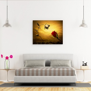 Tablou canvas - Contrariile Se Atrag, Trandafir, Opusi, Metal, Opozitie, Rosu, 60 x 75 cm - Img 3