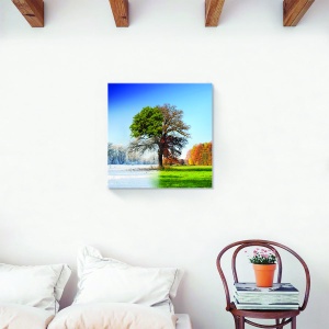 tablou decorativ canvas copac anotimpuri 60x60 cm