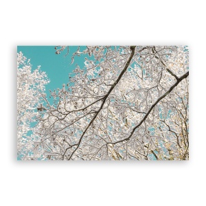 Tablou Canvas - Copac, Frunze, Floral, Alb, 80 x 120 cm