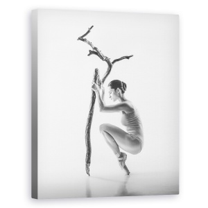 Tablou canvas - Copac, Punct, Punct, Ramura, Copac, Balet, 60 x 75 cm