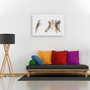 Tablou canvas - Corul - Coioti, Dansand, Iarna, Cantand, Canada, 80 x 120 cm - Img 2