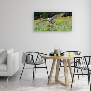 Tablou canvas - Deschide Aripile Si Zbori, Bufnita, Raptor, Pasare, 50 x 100 cm - Img 4