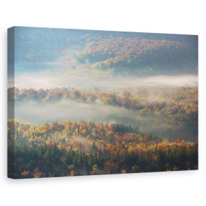 Tablou canvas - Dimineata Cetoasa, Toamna, Dimineata, Ceata, Ceata, Ceata, 40 x 60 cm