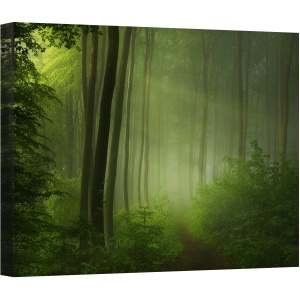 Tablou canvas - Dimineata in Padure, Padure, Verde, Vara, Dimineata, Zori, Rasarit de Soare, 60 x 80 cm